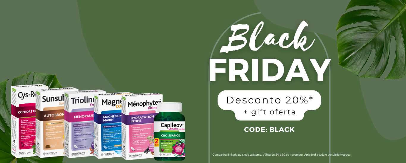 Ivory & Gold Elegant Monimalist December Newsletter Winter Email Banner